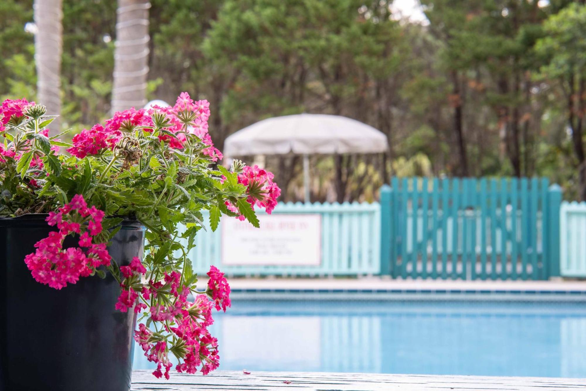 Steinhatchee River Inn And Marina מראה חיצוני תמונה